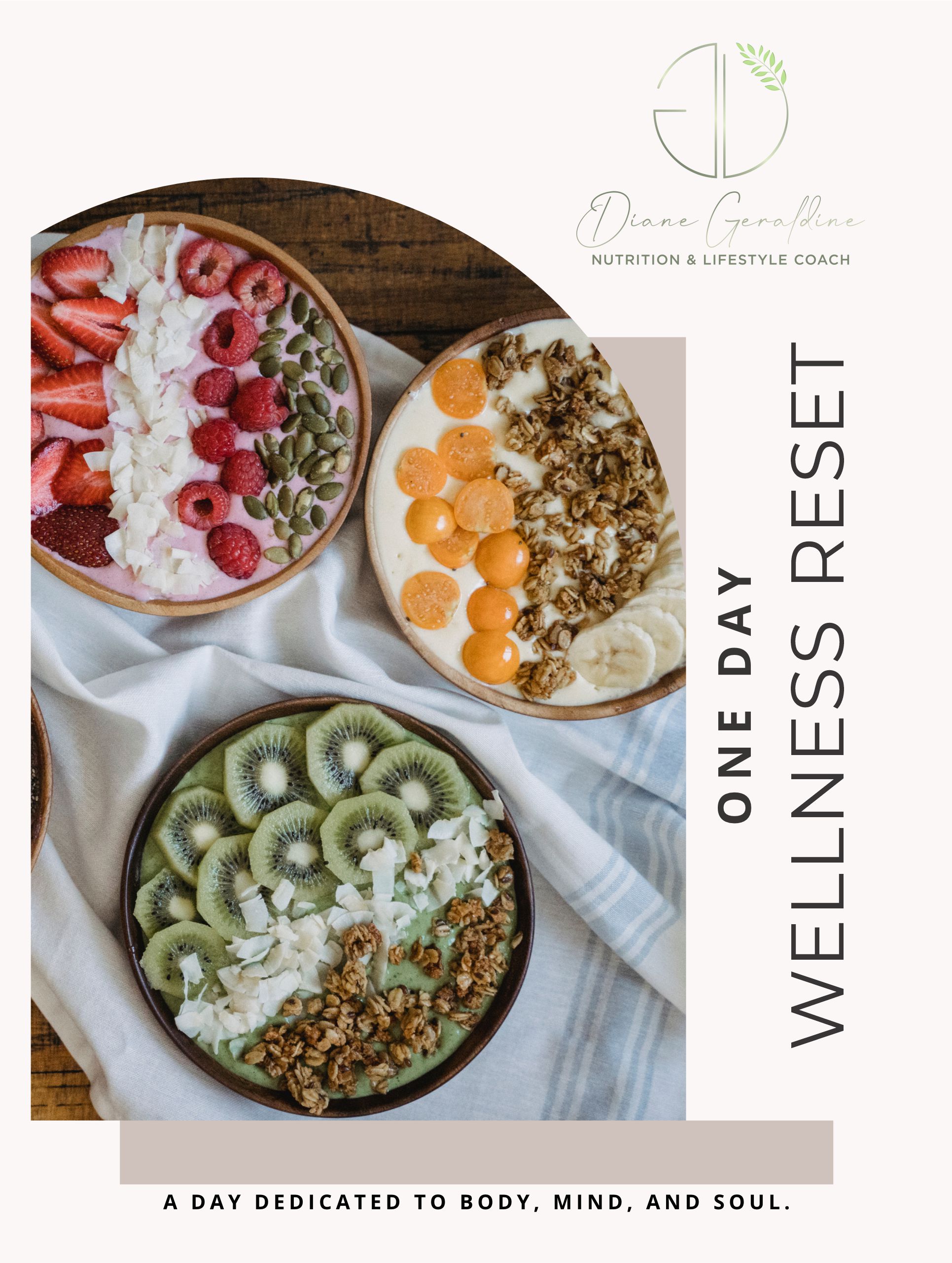 One Day Wellness Reset Guide by Diane Geraldine